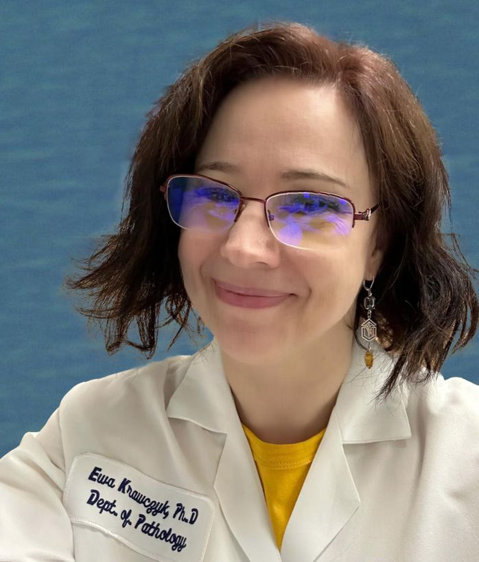 Dr. Ewa Krawczyk